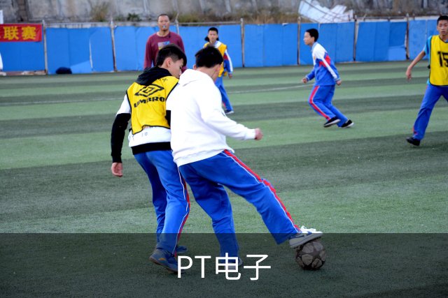 PT电子公司介绍